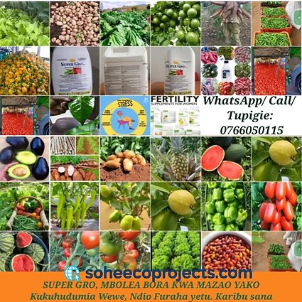 Super Gro - Lita 1 (Jumla) - Kuanzia Dumu 4